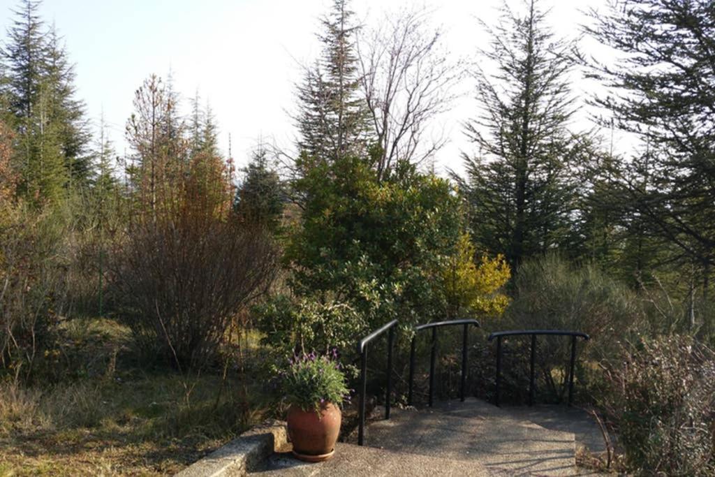 Villa La Lurette, Appartement Et Studio Saint-Étienne-les-Orgues Exterior photo