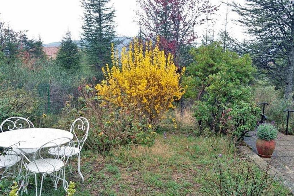 Villa La Lurette, Appartement Et Studio Saint-Étienne-les-Orgues Exterior photo